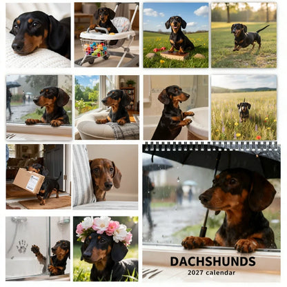 2027 Dachshund Wall Calendar | 12 Month Cute Wiener Dog Calendar, Perfect Gift for Dachshund Lovers